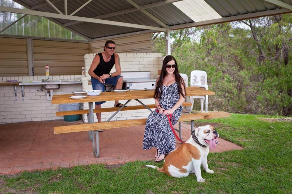 אולבני Emu Beach Chalets מראה חיצוני תמונה
