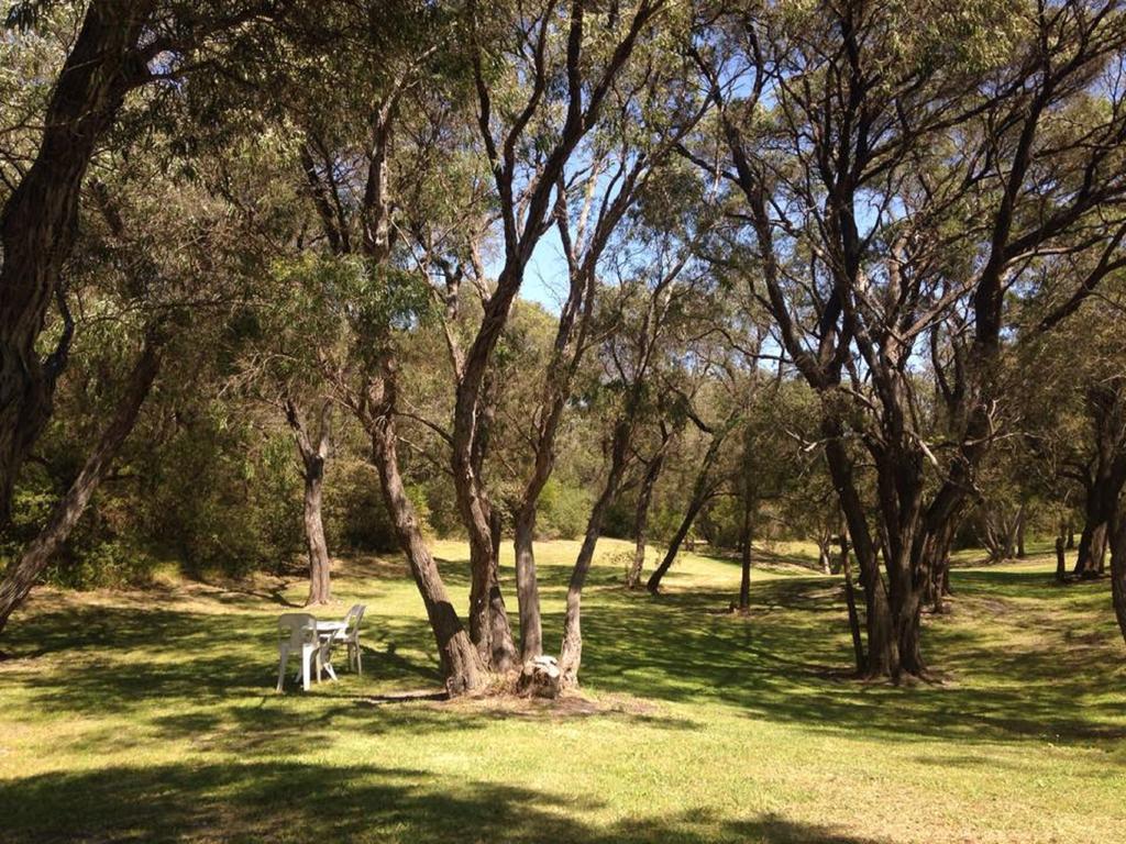 אולבני Emu Beach Chalets מראה חיצוני תמונה