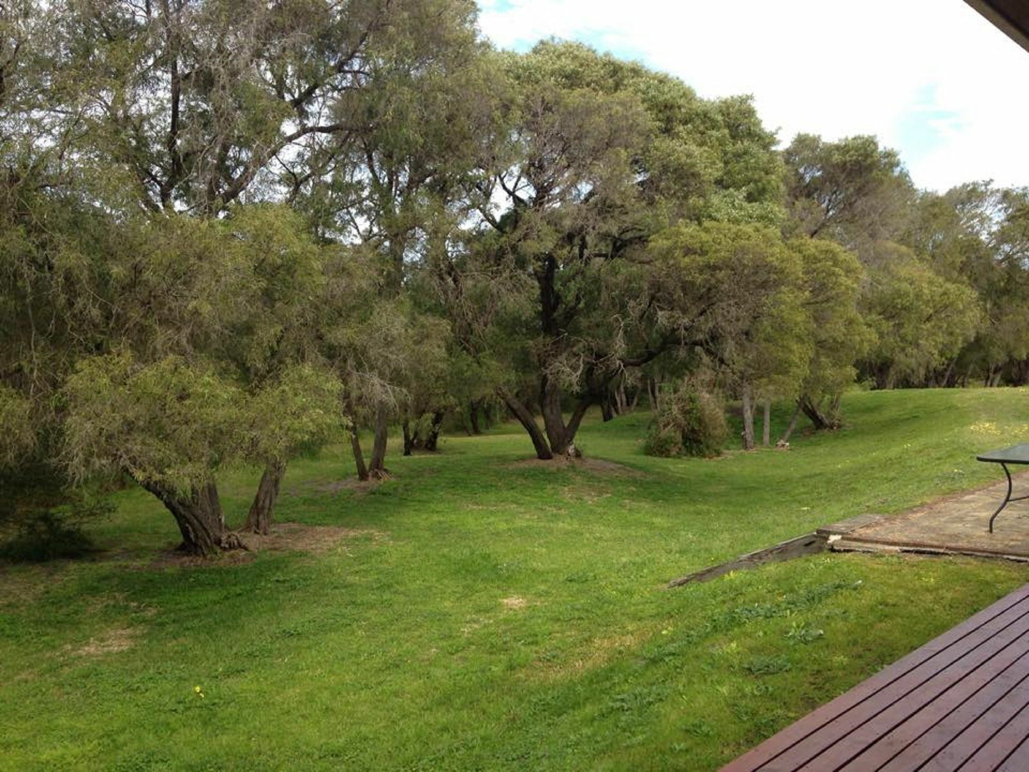 אולבני Emu Beach Chalets מראה חיצוני תמונה